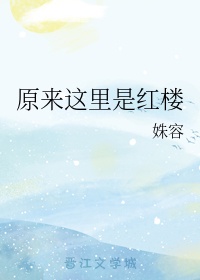 原来这里是红楼